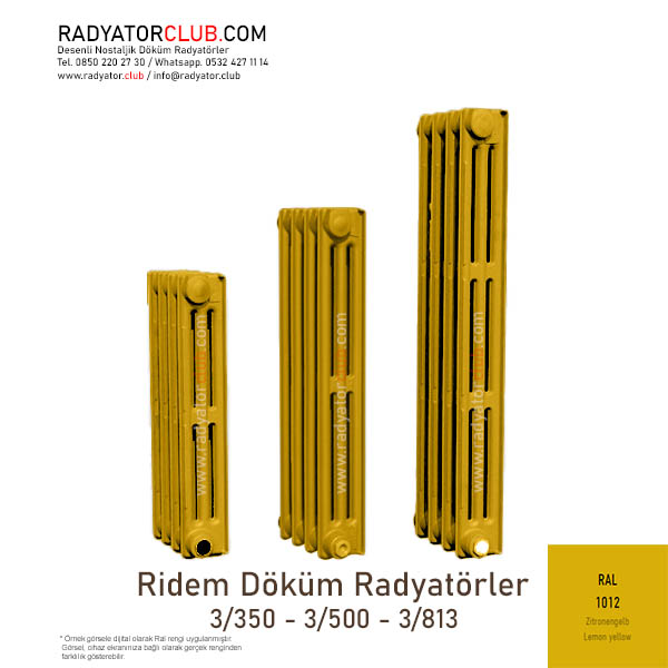 3-500 DemirDokum Ridem radyator 10 dilim Ral 1012